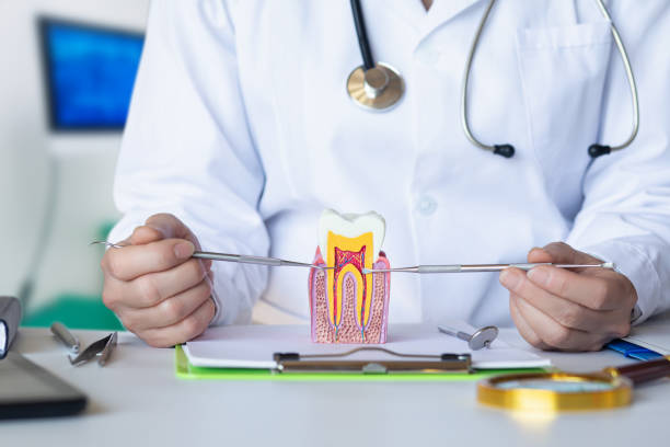 Best Emergency Treatment for Toothache in Bloomfield, NY